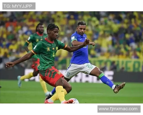 喀麦隆与智利的比赛地点及相关信息详解