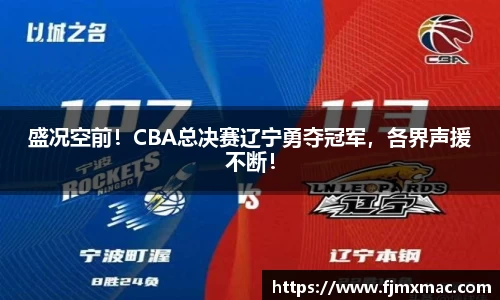 盛况空前！CBA总决赛辽宁勇夺冠军，各界声援不断！